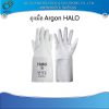 HALO ถุงมือหนังงานเชื่อม Argon 1
